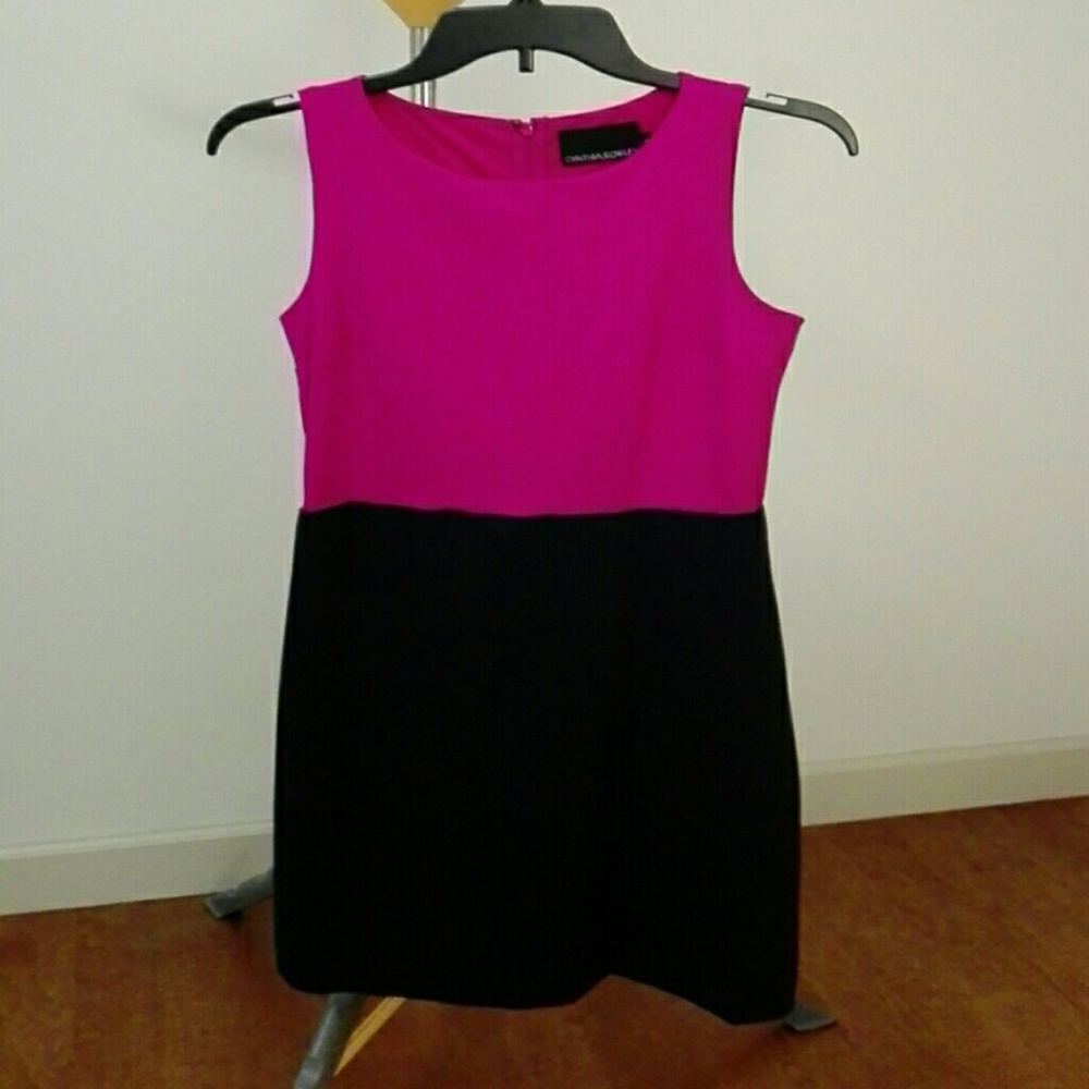Cynthia Rowley two tone dress